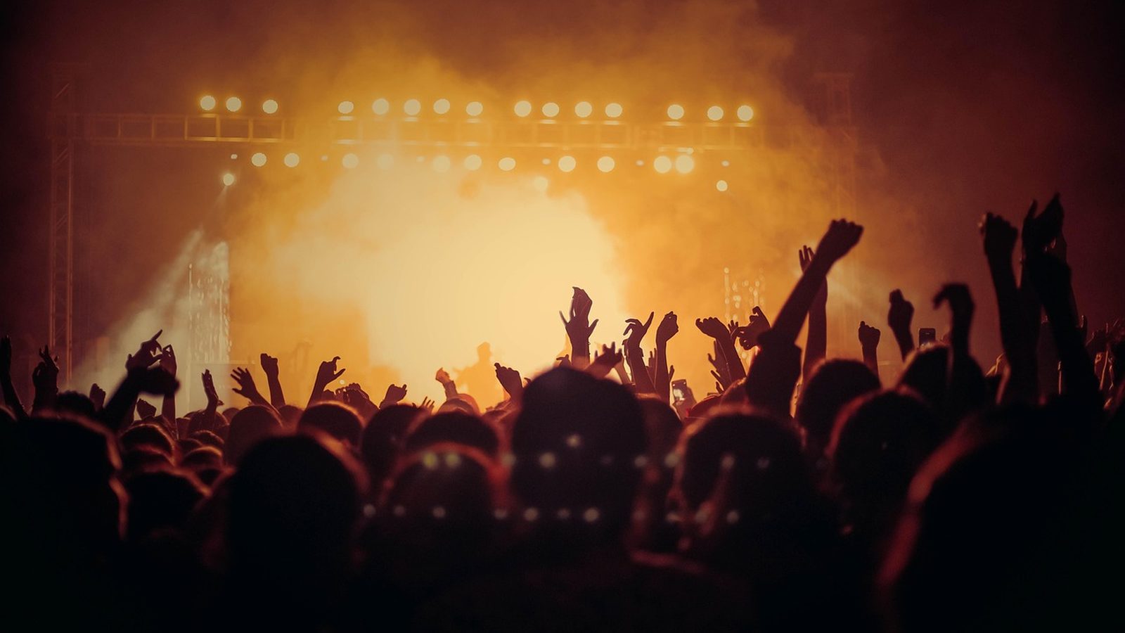 Silhouetted crowd with raised hands at a night event